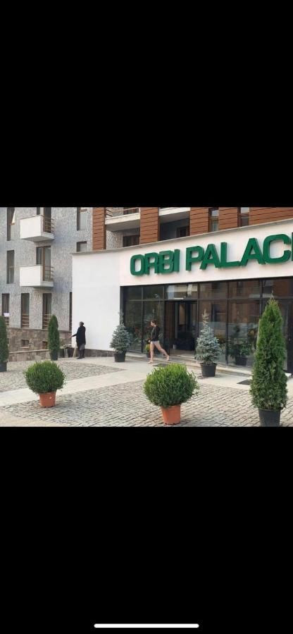 Отель Orbi palace room 210 Бакуриани-8